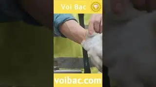 [VOIBAC.vn]Găng Tay Cao Su C&aacute;ch Điện15KV Vicadi ChấtLượng - GCD0001 #voibac #gangtaycachdien #shorts