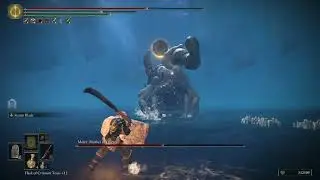 Elden Ring NG+4 &ndash; Dismounter Blood+25 & Storm Blade VS Metyr, Mother of Fingers