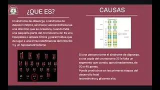 SINDROME DE DIGEORGE (INMUNOLOG&Iacute;A)