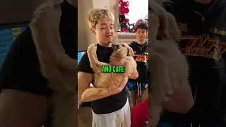 Джейсон наконец встречает FaZe Dog Майло 😭🐶