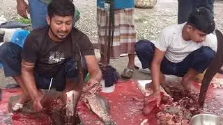 Sharp Knife and Fresh Catch &ndash; The Most Satisfying Fish Cutting on YouTube