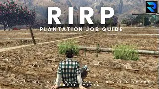 🌱 RIRP Plantation Job | Real-Time Farming, Dynamic Prices & Smart Buyer System