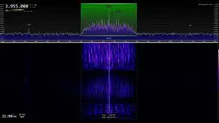 KBS World Radio French / 3955 kHz - Shortwave Reception (First B25 Sign-in + Language Transition)
