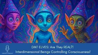 DMT ELVES: Are They REAL?! Interdimensional Beings Controlling Consciousness | Podcast-208