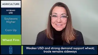Soybean, Corn and Wheat futures rose on demand optimism. 11/28/25