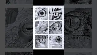 The Drawing That Gave Me Confidence to Draw Any Animal #shorts #art #inspiration