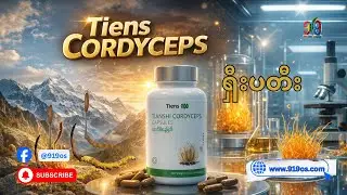 ကမ္ဘာ့အဆင့်အရည်အသွေးအမြင့်ဆုံး Tiens Cordyceps 🌿 | FDA Approved | Gold Medal Award Winner #919os