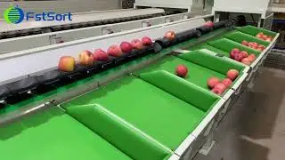 Apple electronic weight sorting  grading machine fruit processing equipment citrus grader for sale