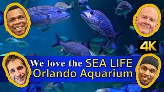 Complete Tour of the SEA LIFE Orlando Aquarium - ICON Park Orlando!