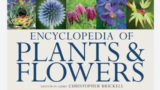 Encyclopedia of plant and flowers /download pdf from description 😊🌱🌸