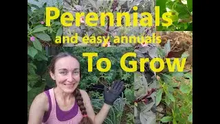 Tropical Perennials and Easy Annuals YOU CAN GROW TOO!
