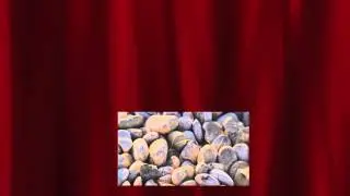 Battle Vineuse : Pierre Gaillard vs St Pr&eacute;fert