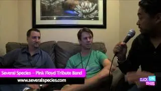 Several Species - Pink Floyd Tribute Band - Interviews & Performance