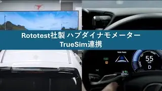 TrueSim連携【東陽テクニカ】
