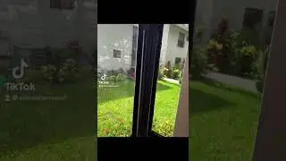 Window balance rod replacement in Coconut Creek, Fl