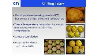 11 Paul Cronje Postharvest best practices for fruit quality