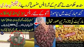 Sindh government has canceled wheat ordinances, notification issued | Wheat Price Punjab Pakistan...