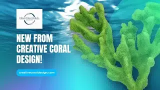 Fish Swim Party - Custom Coral Reef Island for your Aquarium | Creative Coral Design