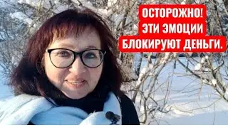 ЭТИ ЭМОЦИИ БЛОКИРУЮТ ДЕНЬГИ. КАК СНЯТЬ БЛОКИ и УВЕЛИЧИТЬ ДОХОД. #деньги