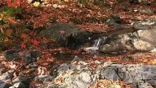 Autumn Creek (Meditation Music)
