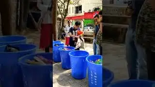 E-waste Collection Mega Drive | Pune | #Shorts