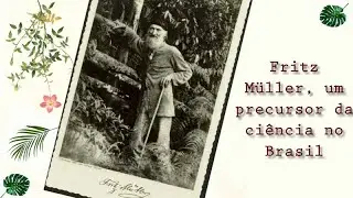 Fritz Müller, um precursor da ciência no Brasil