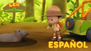 El Hipop&oacute;tamo Pigmeo (Espa&ntilde;ol) - Leo, El Explorador Episodio | Animaci&oacute;n - Familia - Ni&ntilde;os