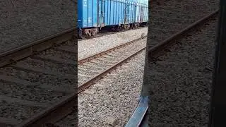 Monkey waiting for train