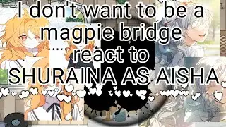 I DON'T WANT TO BE A MAGPIE BRIDGE REACT TO SHURAINA AS AISHA [1/2]