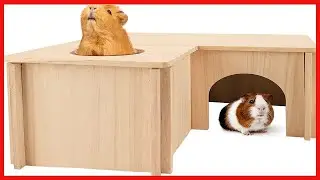 Quality product -  PAWCHIE Guinea Pig Hideout with Multi-Rooms - Small Pets Natural Hideout Detachab