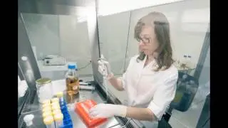 Diabetesfonds