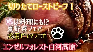「桃は料理にも！夏野菜フェア＆切りたてローストビーフを堪能【エンゼルフォレスト白河高原】」