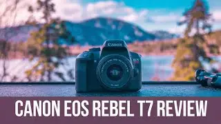 Canon EOS Rebel T7 Review | Best Canon Camera in 2024