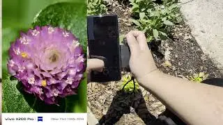 Houston Botanical Garden with the Vivo X200 Pro + PGYTECH grip