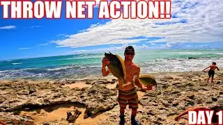 |DAY:1 OF ACTION PACKED CAMPING WEEKEND| SURPRISE COLAB| THROW NET HAWAII| ULUA FISHING|