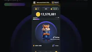 hamster kombat 29 may task complete 🥰🥰