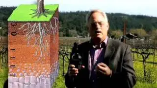 Cellar Angels: Scott Harvey Winery