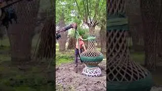 Bonsai shaping from Crape Myrtle plants Shorts #shorts #status #viral #bonsai
