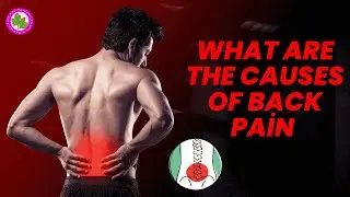 Lower Back Pain in Women Common Causes & Solutions