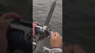 Best Halibut and Salmon fishing in Alaska | Homer, AK