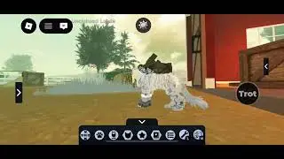NPC TIME! (read description before watching) 