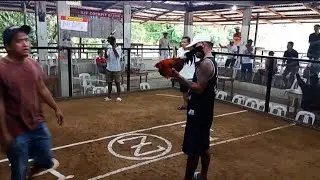 HEAD SHOT FASTEST KILL 
