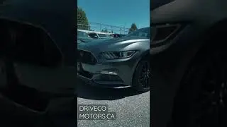 PREMIUM PREOWNED LOCAL BC VEHICLES CAN BE FOUND AT BC&rsquo;s LARGEST BUYING CENTER #usedcars #vancouverbc