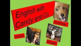Learn English with My Dogs. - 2 An Enlightening Conversation