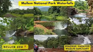 Picklewadi Waterfall in Mollem |Wildlife Sanctuary and Mollem National park | best time to visit