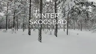 Vinterskogsbad i Hälsingland