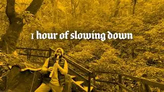 When Nature Says Slow Down | 1 Hour Flute Meditation Music
