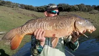 Carpa Royal de 8 kg capturada con un Jigs.