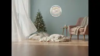 Calm Sunlight & Gentle Breeze for Dogs  Relaxing White Noise for Home Alone Puppies. 강아지 화이트 노이즈