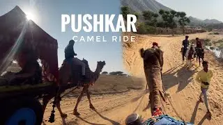 First Camel Ride Experience | Pushkar Camel Safari